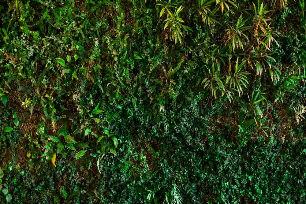 קיר ירוק בסגנון ג'ונגל